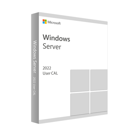 Microsoft Windows Server CAL 2022 French 1pk DSP O.