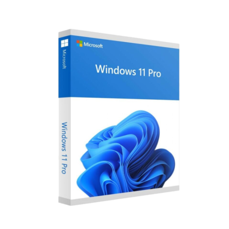 Microsoft Win 11 Pro 64Bit French 1pk DSP OEI DVD (FQC-10532)