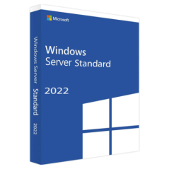 Microsoft Windows Svr Std 2022 64Bit French 1pk DS
 (P73-08329)