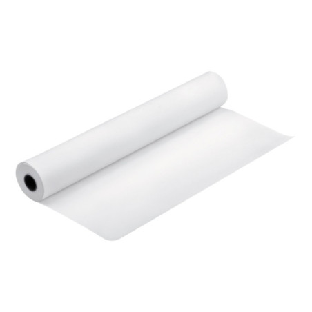 EPSON Pap Proofing Blanc Semi-Mat 256g 24" (0,610x30,5m) (Référence C13S042004)