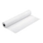 EPSON Pap Proofing Blanc Semi-Mat 256g 24" (0,610x30,5m) (Référence C13S042004)