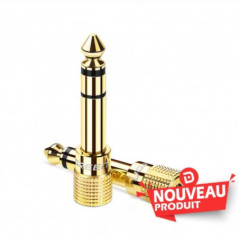 Ugreen Adaptateur Audio 6.5mm Male to 3.5mm Female (20503)