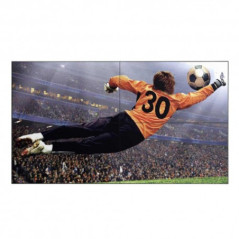 LG Mur D image 49 IPS 3 5mm 500cd m2 (49VL5G-M.AFPD)