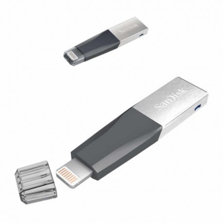 SANDISK MINI CLE USB 32 GB IXPAND POUR IPHONE (SDIX40N-032G-GN6NN)