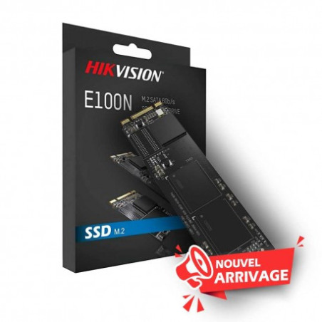 DISQUE DUR HIKVISION SSD 1To M.2 E100N SATA (HS-SSD-E100N-STD-1T)