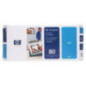 HP 80 Cyan DesignJet Printhead /Printhead CleanerHP DesignJet 1000/1050/1055
 (Référence C4821A)