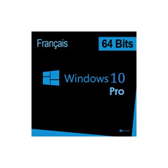 MS Win Pro 10 64Bit French 1pk DSP OEI DVD
 (FQC-08920)