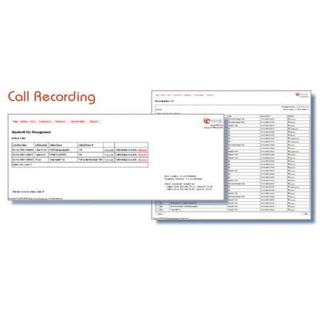 Epygi licence Call Recording (4)